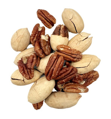 پیکن ( گردو پکان)