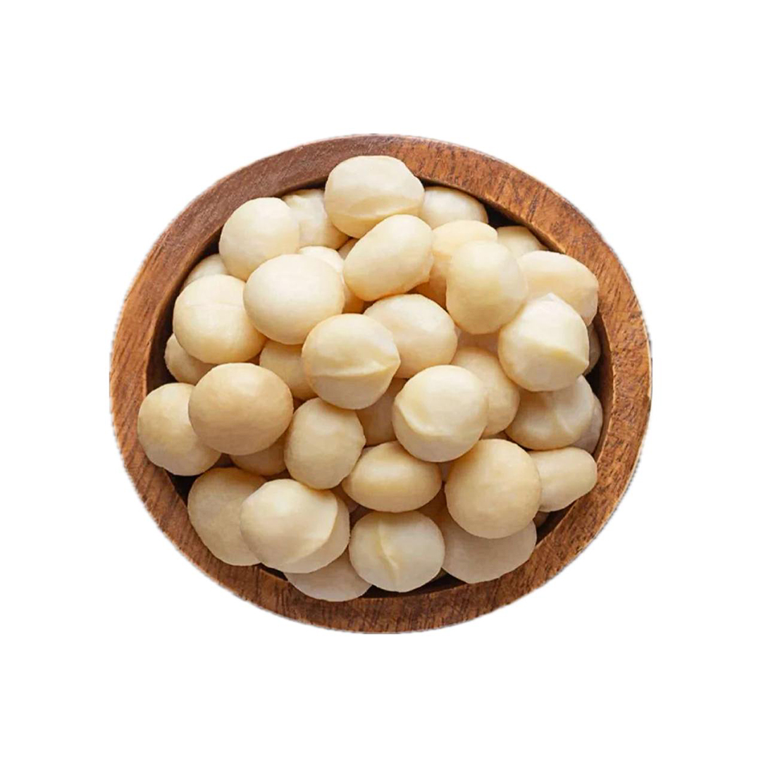 مغز ماکادمیا